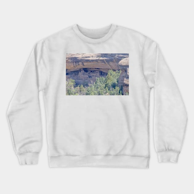 850_3816 Crewneck Sweatshirt by wgcosby